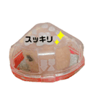 ハムスターのぷりんです（個別スタンプ：15）