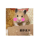 ハムスター癒され隊（個別スタンプ：4）