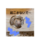 ハムスター癒され隊（個別スタンプ：29）