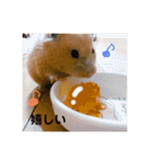 ハムスター癒され隊（個別スタンプ：30）