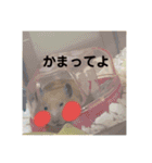 ハムスター癒され隊（個別スタンプ：32）
