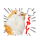 食べすぎ飲みすぎ猫（個別スタンプ：2）