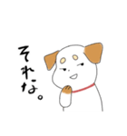 わんこ時々リアル犬。（個別スタンプ：3）