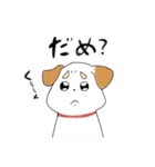 わんこ時々リアル犬。（個別スタンプ：4）