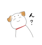 わんこ時々リアル犬。（個別スタンプ：16）