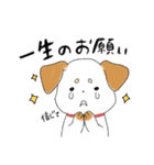 わんこ時々リアル犬。（個別スタンプ：21）