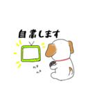 わんこ時々リアル犬。（個別スタンプ：29）