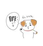 わんこ時々リアル犬。（個別スタンプ：33）