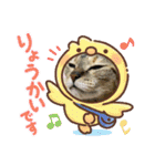 うちのぬこしか勝たん（個別スタンプ：4）