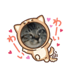 うちのぬこしか勝たん（個別スタンプ：6）