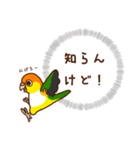 シロハラインコスタンプ（個別スタンプ：30）