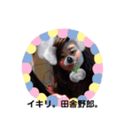 はるてるPart4（個別スタンプ：7）