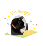 愛しのにゃんずスタンプ 3（個別スタンプ：11）
