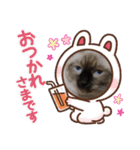 愛しのにゃんずスタンプ 3（個別スタンプ：14）