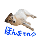 関西ジャック Part1（個別スタンプ：4）