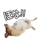 関西ジャック Part1（個別スタンプ：5）