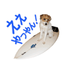 関西ジャック Part1（個別スタンプ：6）