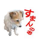 関西ジャック Part1（個別スタンプ：7）