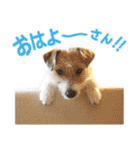 関西ジャック Part1（個別スタンプ：8）