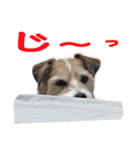 関西ジャック Part1（個別スタンプ：9）