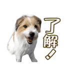関西ジャック Part1（個別スタンプ：10）