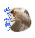 関西ジャック Part1（個別スタンプ：14）