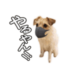 関西ジャック Part1（個別スタンプ：17）