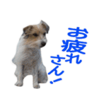 関西ジャック Part1（個別スタンプ：18）