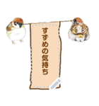 すずめの気持ち（個別スタンプ：15）