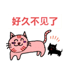 可愛小猫 北京語（個別スタンプ：11）