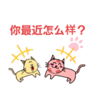 可愛小猫 北京語（個別スタンプ：12）