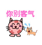 可愛小猫 北京語（個別スタンプ：20）