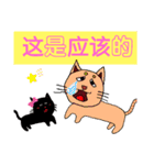 可愛小猫 北京語（個別スタンプ：26）