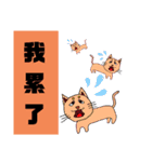 可愛小猫 北京語（個別スタンプ：39）