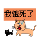 可愛小猫 北京語（個別スタンプ：40）