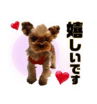 リンちゃま♡（個別スタンプ：10）