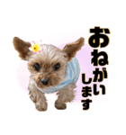 リンちゃま♡（個別スタンプ：11）