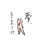 猫と生活に沿った題（個別スタンプ：5）