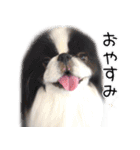 鼻ぺちゃ隊part1（個別スタンプ：2）