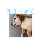 プチさん16歳（個別スタンプ：14）