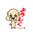 犬君（個別スタンプ：4）