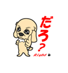 犬君（個別スタンプ：9）