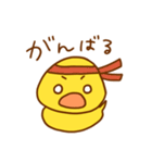もちぴよ2（個別スタンプ：13）
