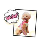 ミリオ(447)（個別スタンプ：2）