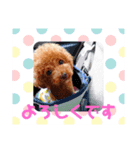 ミリオ(447)（個別スタンプ：5）