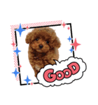 ミリオ(447)（個別スタンプ：6）