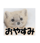 誰でも使えるスタンプ★エゾクロテン（個別スタンプ：18）