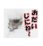 誰でも使えるスタンプ★エゾクロテン（個別スタンプ：33）