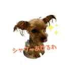 まるandつぶ②（個別スタンプ：5）