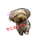 まるandつぶ②（個別スタンプ：8）